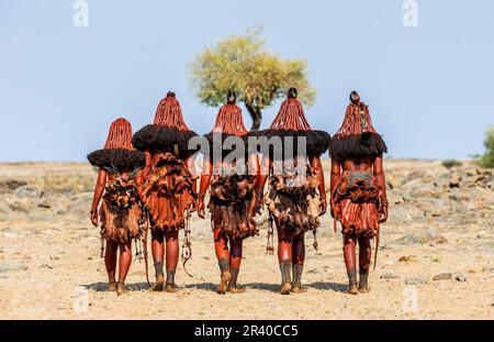 Gruppo di donne della tribù Himba cammina attraverso il deserto in abiti nazionali. Foto Stock