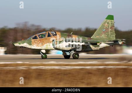 Un aereo di attacco su-25UB dell'aeronautica russa decollo, Kubinka, Russia. Foto Stock