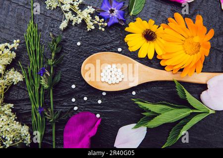 Pillole omeopatiche su cucchiaio di legno, decorate con diverse piante di erbe fresche e fiori, sfondo di legno scuro. Foto Stock