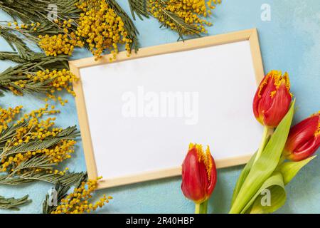 Tulipani in fiore, mimosa con cornice fotografica su sfondo blu. Concetto di primavera, composizione dei fiori. Biglietto d'auguri. Vista dall'alto Foto Stock