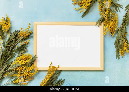 Mimosa fiori con cornice fotografica su sfondo blu. Giorno della donna, giorno della mamma, giorno di San Valentino, festa di compleanno. Saluto Foto Stock