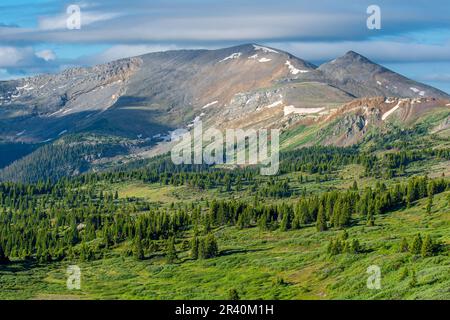 Bella vista di mattina presto della catena montuosa di Sawatch del Colorado dal Passo di Cottonwood. Foto Stock