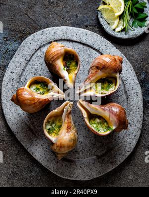 Cileno lumache giganti con burro e aglio ed erbe sulla pietra grigia piastra. escargot dall'oceano pacifico Foto Stock