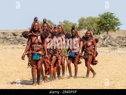 Gruppo di donne della tribù Himba cammina attraverso il deserto in abiti nazionali. Foto Stock