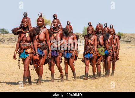 Gruppo di donne della tribù Himba cammina attraverso il deserto in abiti nazionali. Foto Stock