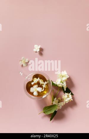 Tazza di tè al gelsomino con fiori di gelsomino su sfondo rosa pastello. Concetto di bevande naturali biologiche. Vista dall'alto. Foto Stock