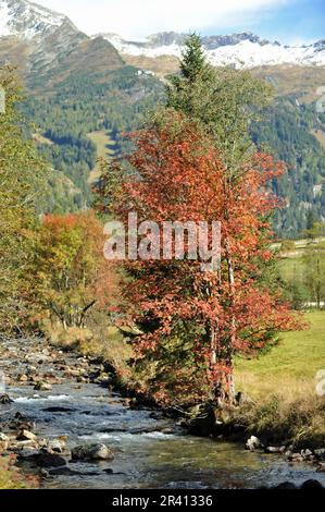 Mallnitztal in Austria Foto Stock