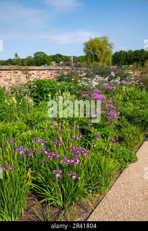 Confine erbaceo a RHS Bridgewater, Greater Manchester, Inghilterra Foto Stock