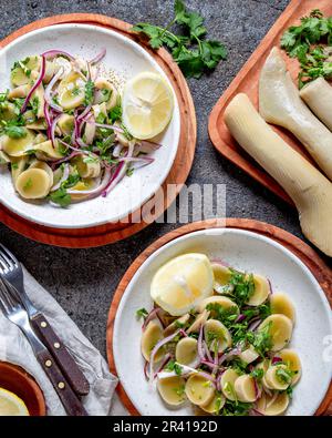 Le alghe ULTE HULTE o. Cileno insalata ulte ceviche con viola la cipolla, il coriandolo e il succo di limone. Pacific alghe commestibili Foto Stock