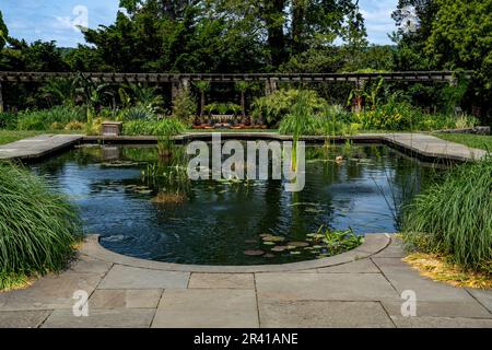 Bronx, NY - USA - Maggio 21,2023 la piscina rettangolare del Giardino Acquatico, che espone piante galleggianti al Wave Hill Public Garden and Cultural Center, lo Foto Stock