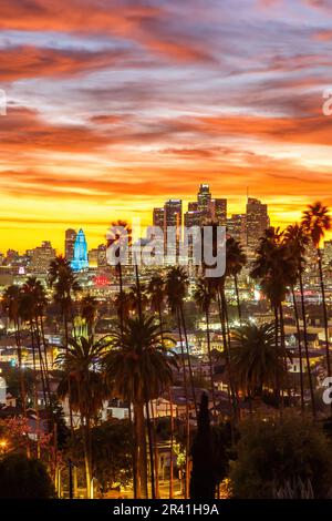 Vista dello skyline del centro di Los Angeles con palme al Tramonto Foto ritratto in California negli Stati Uniti Foto Stock