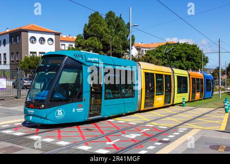 Tram moderno Alstom Citadis 302 linea L1 alla fermata Padre Anchieta mezzi pubblici Tenerife, Spagna Foto Stock