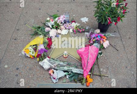 University City, Stati Uniti. 25th maggio, 2023. La stella Tina Turner sulla St. Louis Walk of Fame è coperto di fiori e note a University City, Missouri, giovedì 25 maggio 2023. Turner, nata Anna Mae Bullock era conosciuta come la Regina del Rock and Roll e fu eretta a St. Louis. Morì per cause naturali all'età di 83 anni il 24 maggio 2023 nella sua casa vicino a Zurigo, in Svizzera. Foto di Bill Greenblatt/UPI Credit: UPI/Alamy Live News Foto Stock