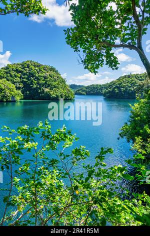 Isole Rock a Palau, Micronesia, Oceania, patrimonio dell'umanità dell'UNESCO Foto Stock