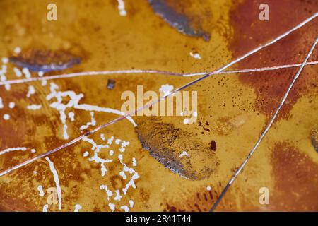 Disco CD con disco rigido masterizzato con sfondo testurizzato, graffi e bruciature rosse gialle Foto Stock