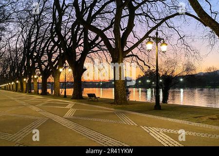 Avenida dos Plátanos, Ponte de Lima, Portogallo Foto Stock