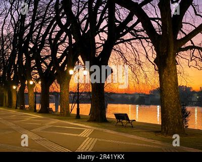 Avenida dos Plátanos, Ponte de Lima, Portogallo Foto Stock