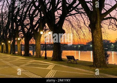 Avenida dos Plátanos, Ponte de Lima, Portogallo Foto Stock