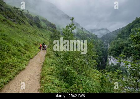 región de la Père, Larrau, francia. Foto Stock