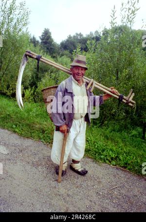 Maramures County, Romania, circa 2001. Uomo locale sulla strada di campagna che porta due falci. Foto Stock