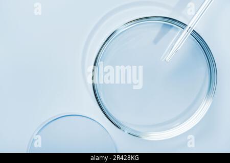 Capsula di Petri rotonda vuota o vetrino e pipetta su fondo blu. Mockup per campioni di prodotti cosmetici o scientifici Foto Stock