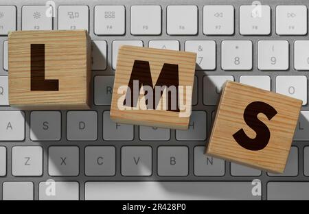 Sistema di gestione dell'apprendimento. Cubi di legno con abbreviazione LMS sulla tastiera del computer, vista dall'alto Foto Stock