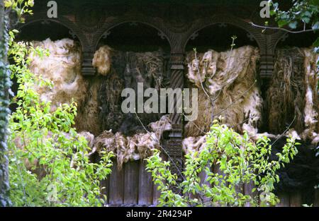 Maramures County, Romania, circa 2000. Lana cruda appesa ai lati di un bellissimo portico in legno intagliato tradizionalmente. Foto Stock