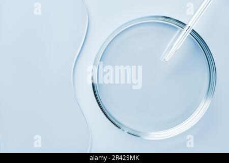 Capsula di Petri rotonda vuota o vetrino e pipetta su fondo blu. Mockup per campioni di prodotti cosmetici o scientifici Foto Stock