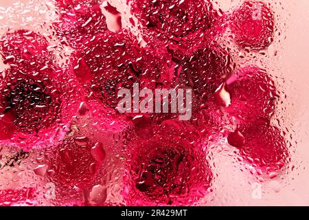 Fiori sotto vetro con gocce d'acqua. Rose rosse su sfondo rosa e motivo di blobs Foto Stock