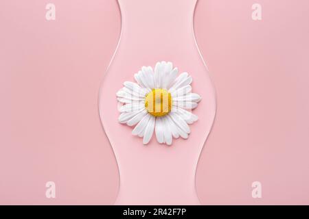 Piatto di Petri rotondo vuoto, vetrino ondulato e fiore di camomilla su sfondo rosa. Mockup per prodotti cosmetici o scientifici samp Foto Stock