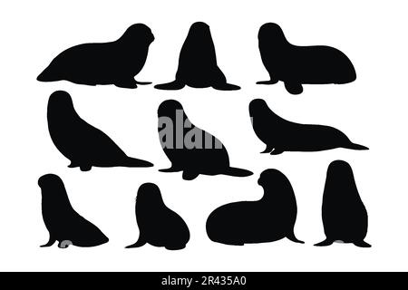 Sigilli seduti in diverse posizioni, set di silhouette vettoriale. Piccola collezione di silhouette di leoni marini su sfondo bianco. Belle creature marine come Illustrazione Vettoriale