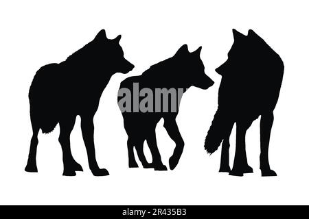 Lupi che camminano in diverse posizioni, silhouette set vettore. Collezione di silhouette di lupo per adulti su sfondo bianco. Animali carnivori selvatici come WO Illustrazione Vettoriale