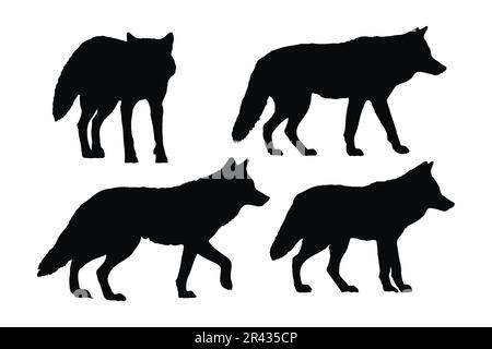 Design in piedi Coyote su sfondo bianco. Vettore set silhouette Wild Coyote. Design del fascio di silhouette a lupo Coyote. Animali carnivori che camminano in di Illustrazione Vettoriale