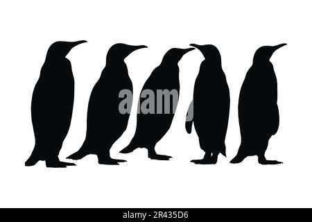 Pinguino in piedi in diverse posizioni, silhouette set vettore. Collezione di silhouette pinguini per adulti su sfondo bianco. Uccello artico e creatura fu Illustrazione Vettoriale