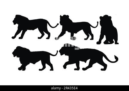 Leoni che camminano in diverse posizioni, vettore di silhouette set. Collezione di silhouette di leoni per adulti su sfondo bianco. Animali carnivori selvatici come grandi Illustrazione Vettoriale