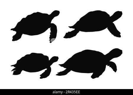 Carino tartaruga camminare e nuoto silhouette design bundle. Tartaruga in diverse posizioni silhouette collezione. Vettore creatura mare su un dorso bianco Illustrazione Vettoriale