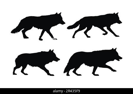 Disegno vettoriale del lupo selvatico su sfondo bianco. Design a fascio di silhouette da passeggio dei lupi. Lupi selvaggi camminando silhouette vettore. Grande predatore standi Illustrazione Vettoriale