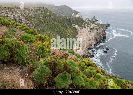 Le frastagliate scogliere costiere dell'isola di Santa Cruz parte del Parco Nazionale delle Isole del canale nella California Meridionale. Foto Stock