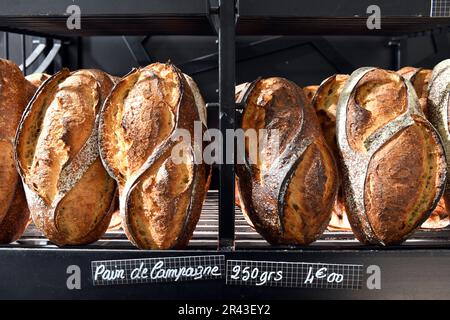 Pane francese - Pain de Campagne - Parigi - Francia Foto Stock