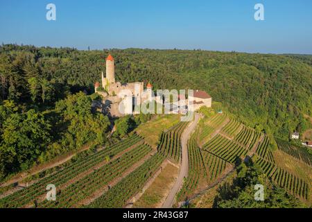 Castello di Hornberg, Neckarzimmern, Castle Road, Baden-Wuerttemberg, Germania, Neckarzimmern, Baden-Wuerttemberg, Germania Foto Stock