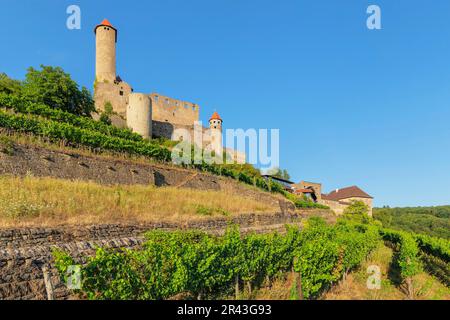 Castello di Hornberg, Neckarzimmern, Castle Road, Baden-Wuerttemberg, Germania, Neckarzimmern, Baden-Wuerttemberg, Germania Foto Stock