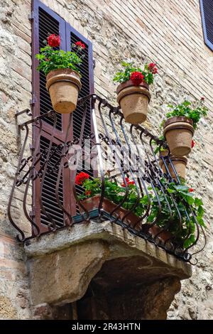 Fiori su un balcone in Pienza Toscana Foto Stock
