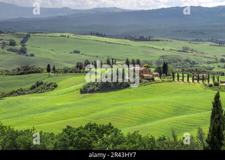 PIENZA, TOSCANA/ITALIA - MAGGIO 20 : Agriturismo vicino a Pienza in Toscana il 20 Maggio 2013 Foto Stock