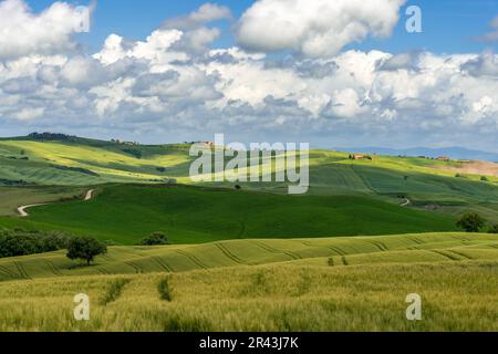 PIENZA, TOSCANA/ITALIA - MAGGIO 20 : Agriturismo vicino a Pienza in Toscana il 20 Maggio 2013 Foto Stock