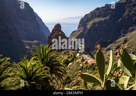 Villaggio nascosto nella gola di Masca dove l'avventura e la serenità aspettano, adornato con palme, cactus e la montagna Roque de Catana si erge alto in h Foto Stock