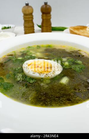 Minestra verde di Sorrel fatta da brodo, foglie di Sorrel, uova (sode), patate, carote, radice di prezzemolo. Polacco, ucraino, bielorusso, russo, ebraico Foto Stock