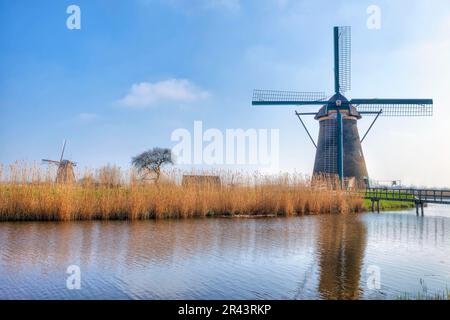 Kinderdijk, Moolenwaard, South Holland, Paesi Bassi Foto Stock