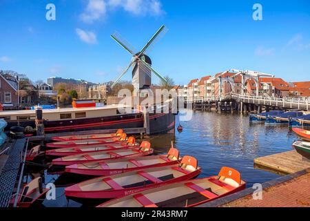 Galgewater, Windmill De Put, Rembrandt Bridge, Leiden, South Holland, Paesi Bassi Foto Stock