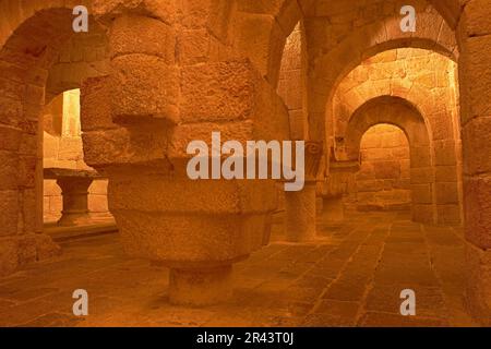 Leyre, Navarra, Monastero di San Salvador de Leyre, Cripta, Navarra, Via di San James, Spagna Foto Stock