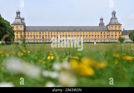 Rheinische Friedrich-Wilhelms-Universitaet Bonn, Bonn, Renania settentrionale-Vestfalia, Germania Foto Stock